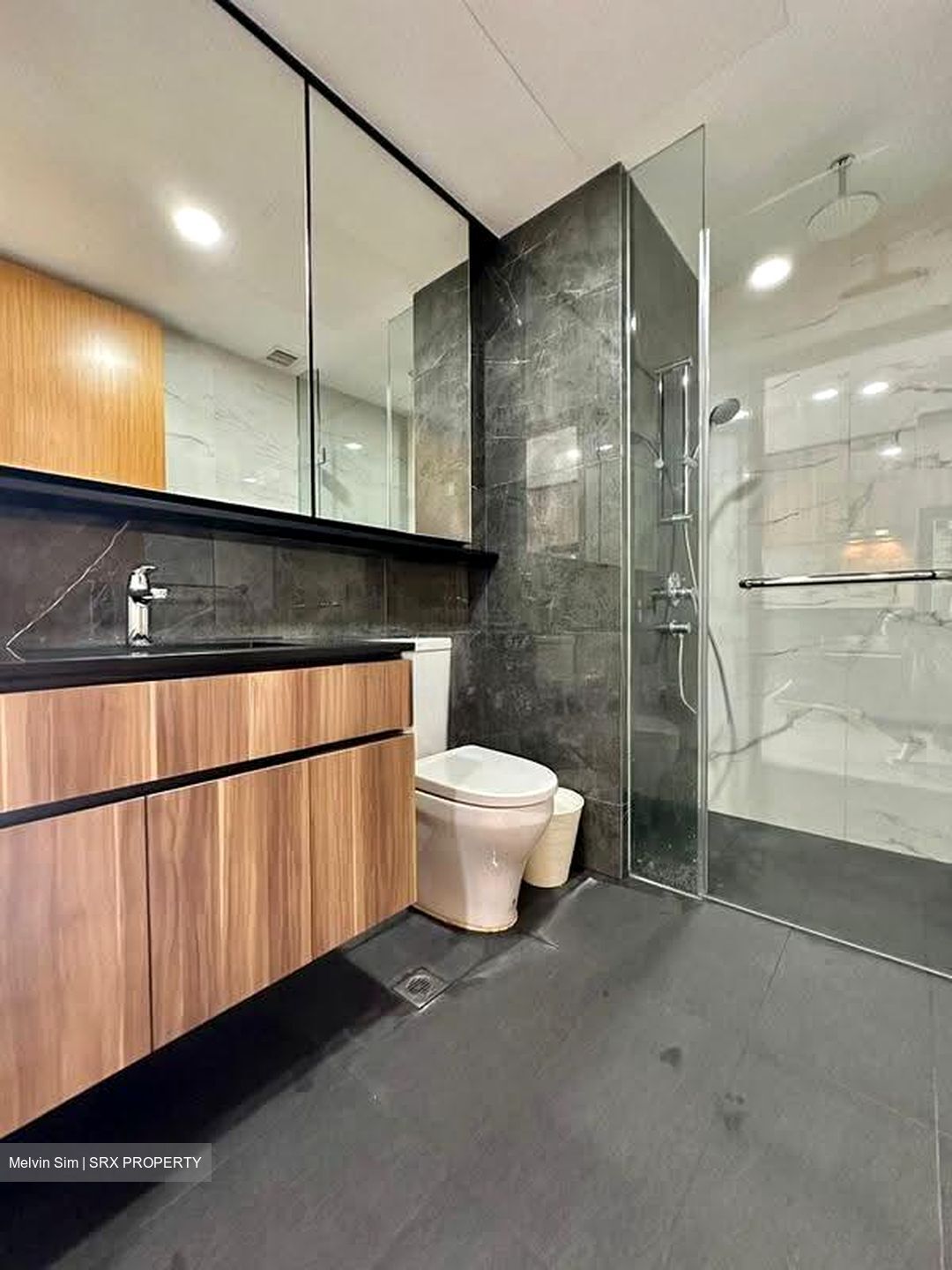 The Verandah Residences (D5), Apartment #611133651